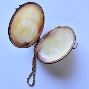 Unique! antique Clam Shell Coin Purse / Pill Box